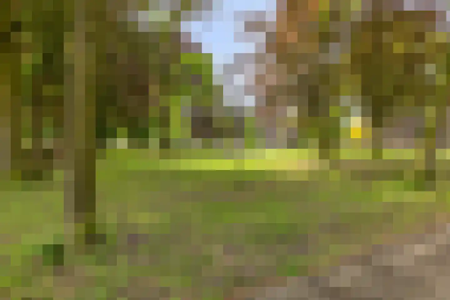 Hoogstraat 27 Valkenswaard thumbnail 28