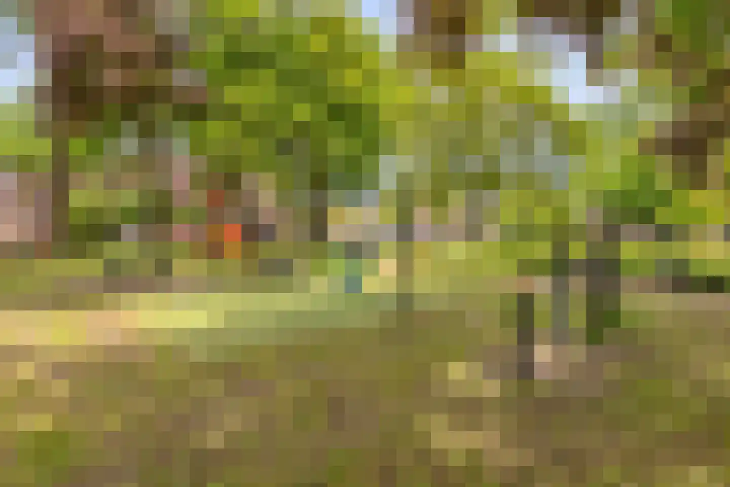 Hoogstraat 27 Valkenswaard thumbnail 29