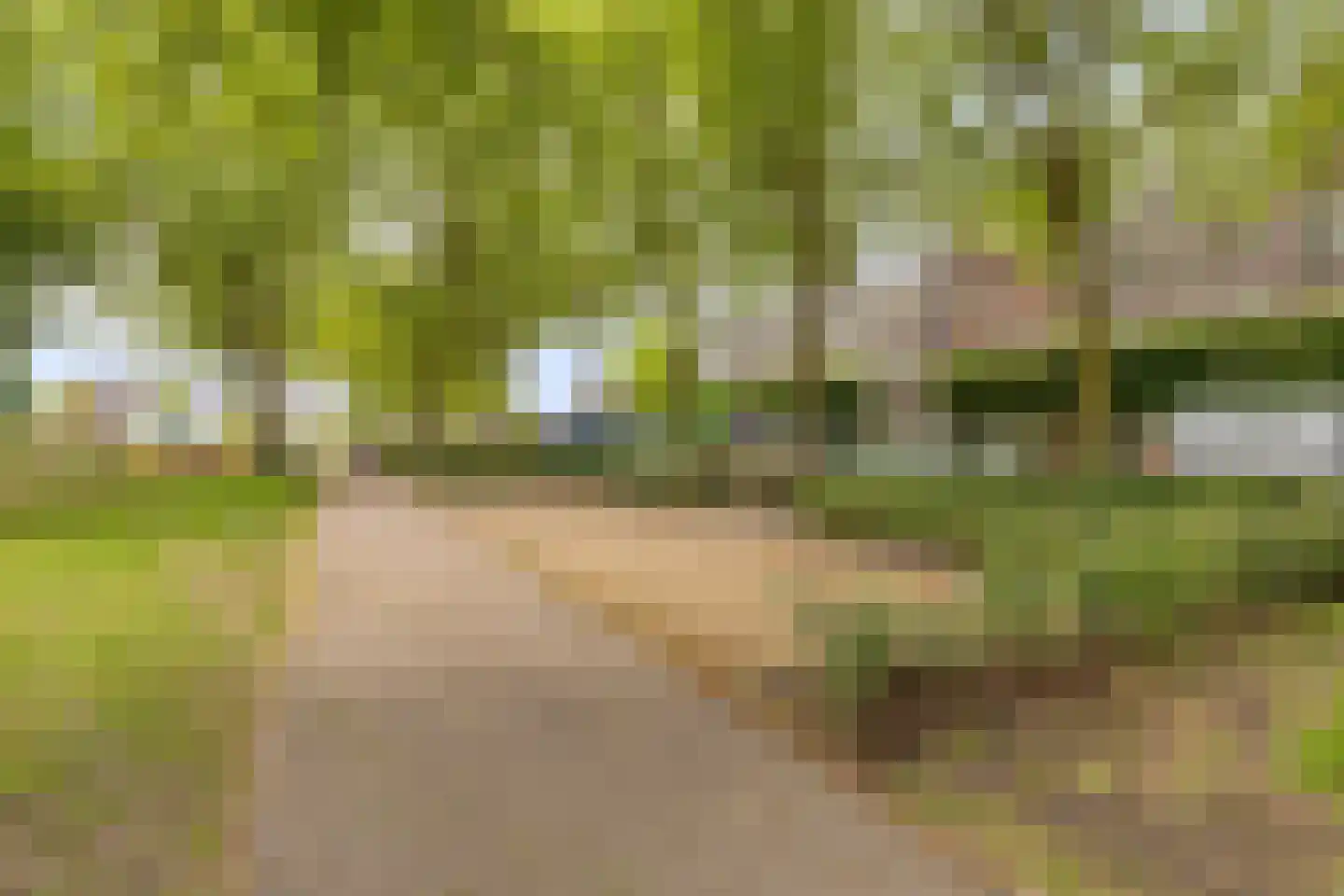 Hoogstraat 27 Valkenswaard thumbnail 32