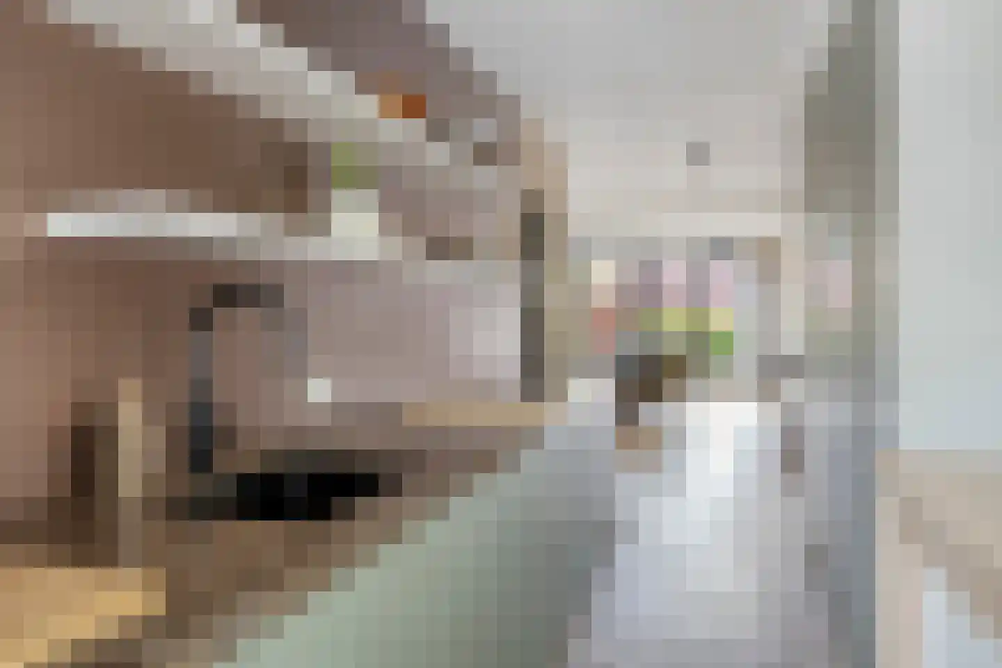 Hoogstraat 27 Valkenswaard thumbnail 5