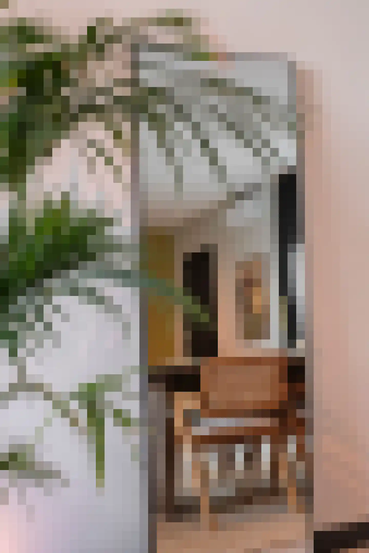 Hoogstraat 272 Eindhoven thumbnail 20