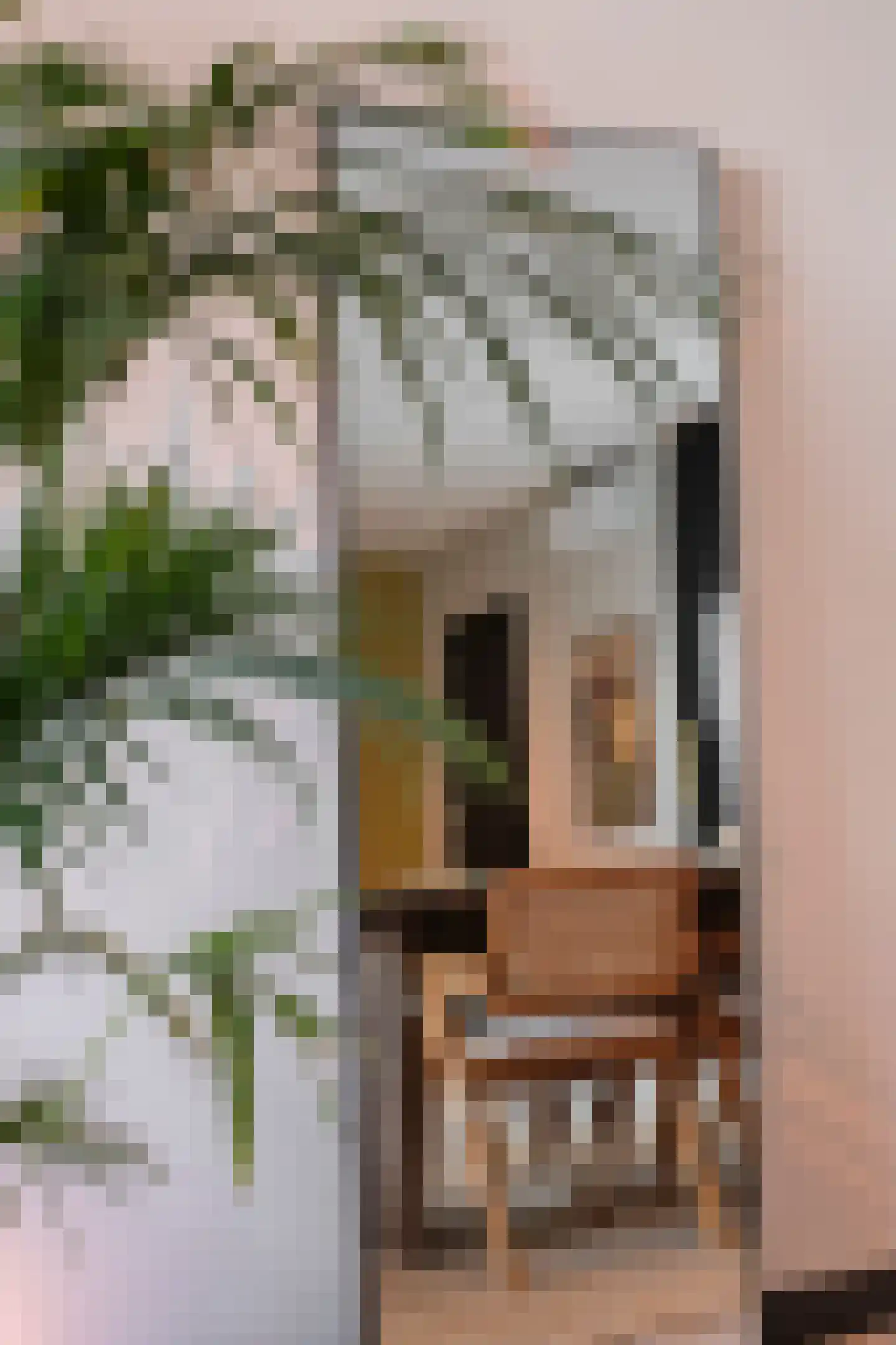 Hoogstraat 272 Eindhoven thumbnail 20