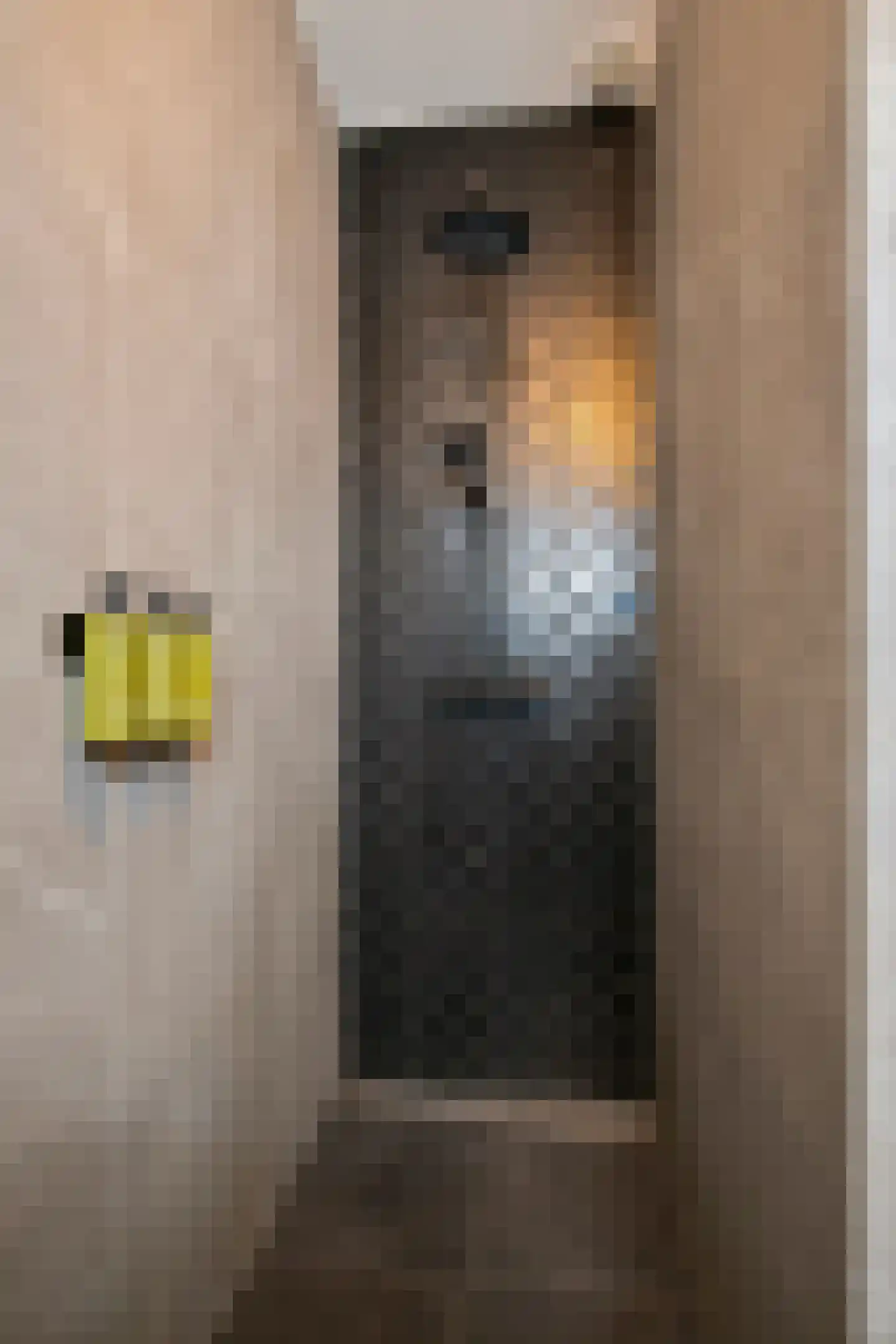 Hoogstraat 272 Eindhoven thumbnail 30