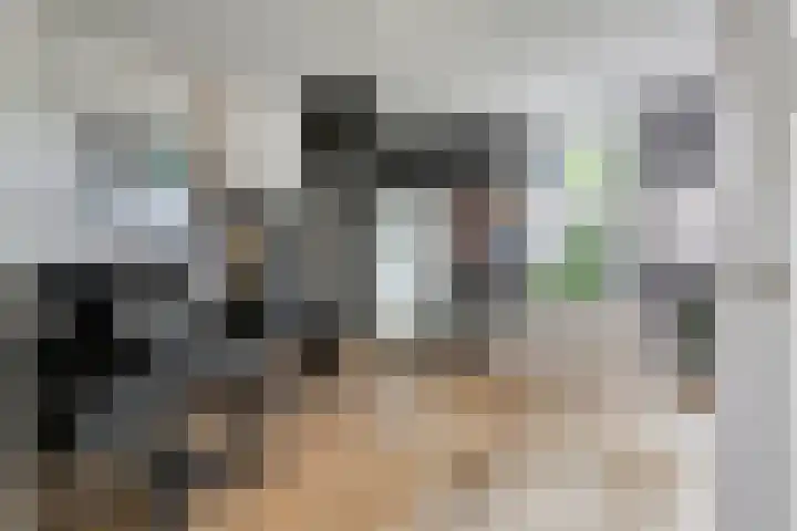 Hoogstraat 277 Eindhoven thumbnail 14