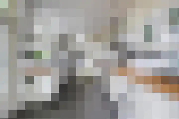 Hoogstraat 277 Eindhoven thumbnail 17