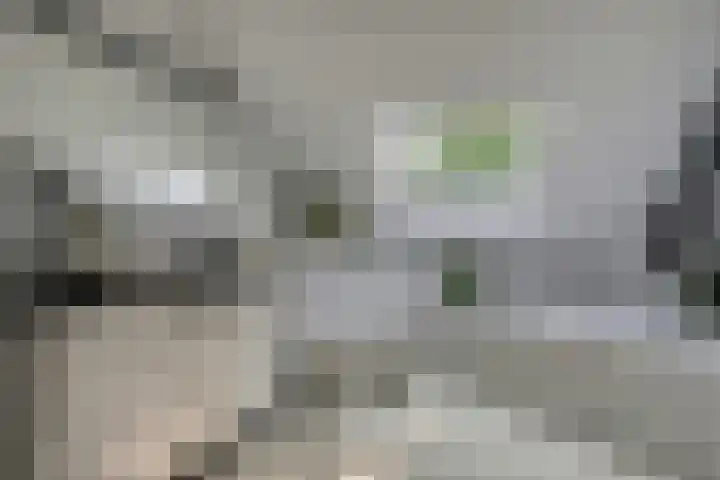 Hoogstraat 277 Eindhoven thumbnail 29