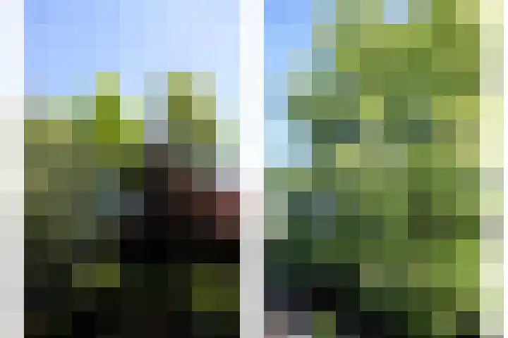 Hoogstraat 277 Eindhoven thumbnail 39