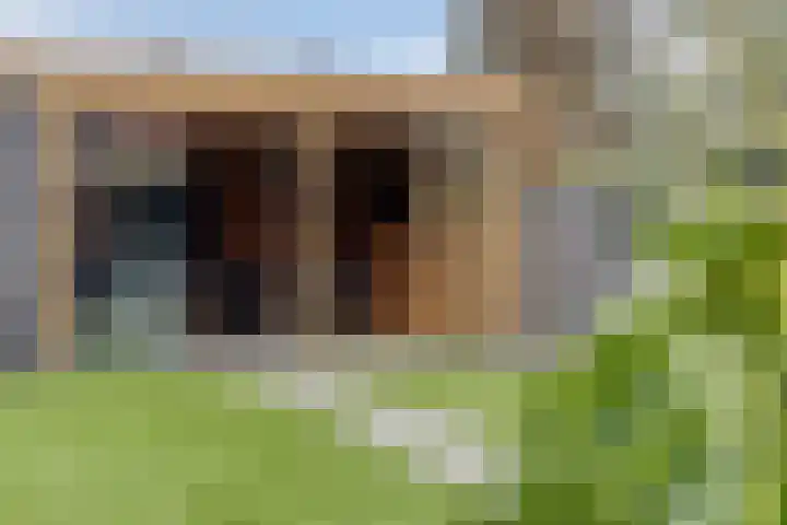 Hoogstraat 28 Asten thumbnail 49