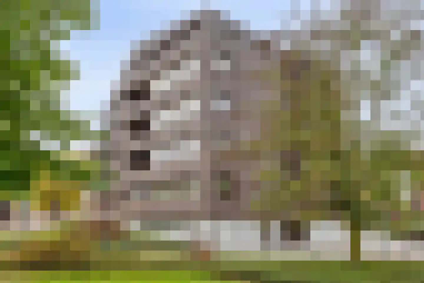 Hoogstraat 28 Valkenswaard thumbnail 27