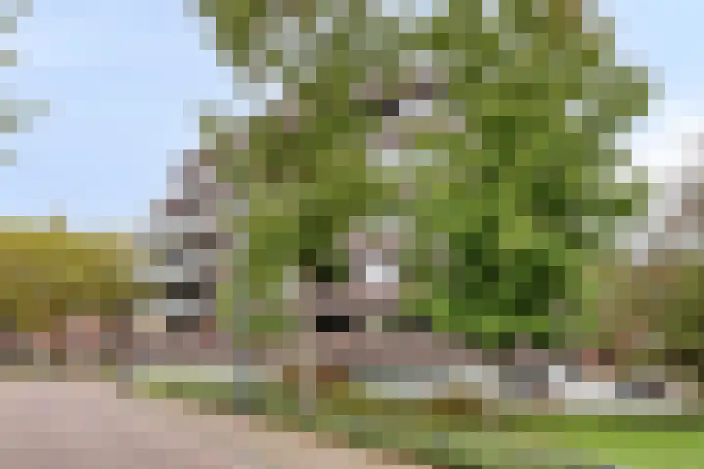 Hoogstraat 28 Valkenswaard thumbnail 31