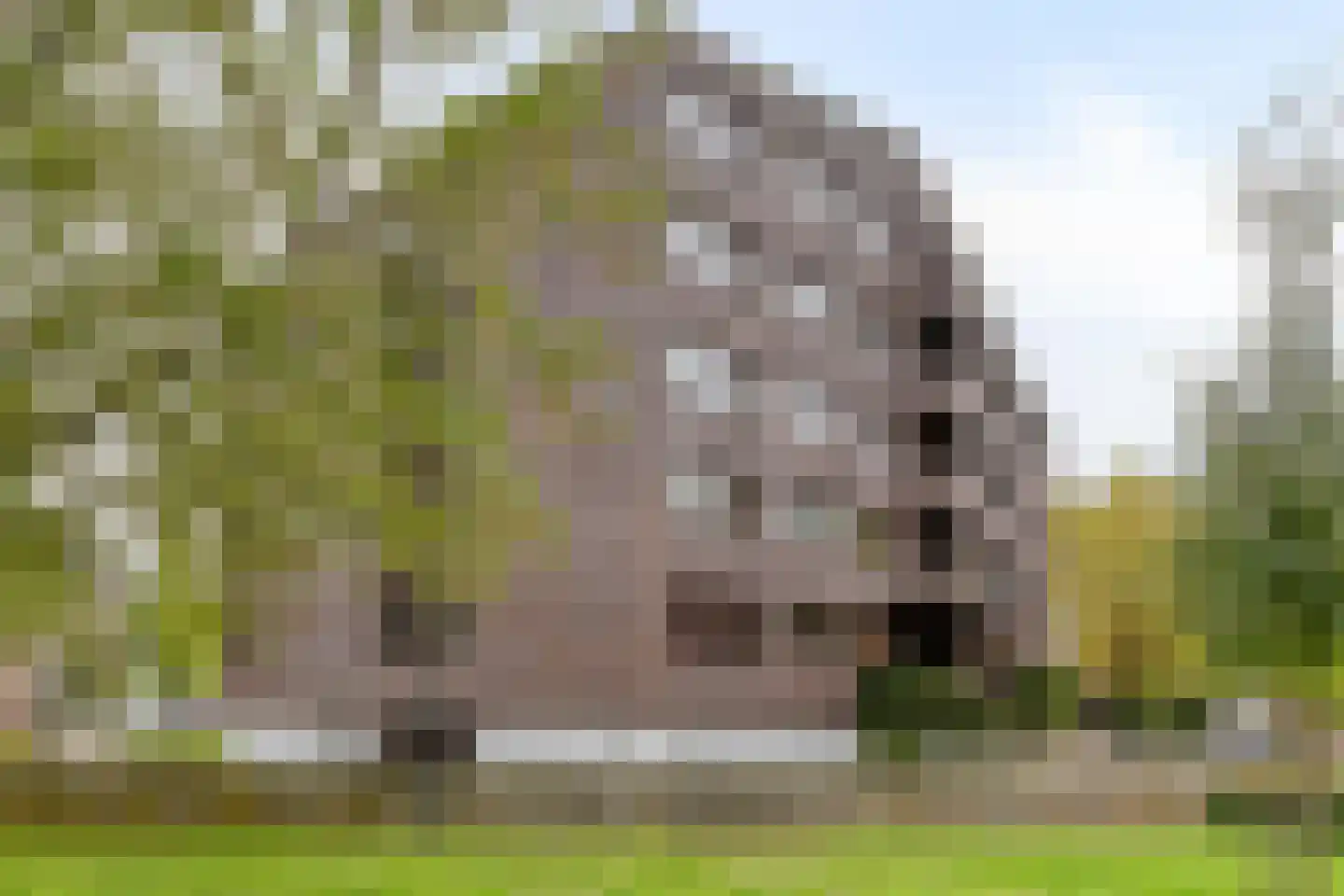 Hoogstraat 28 Valkenswaard thumbnail 35