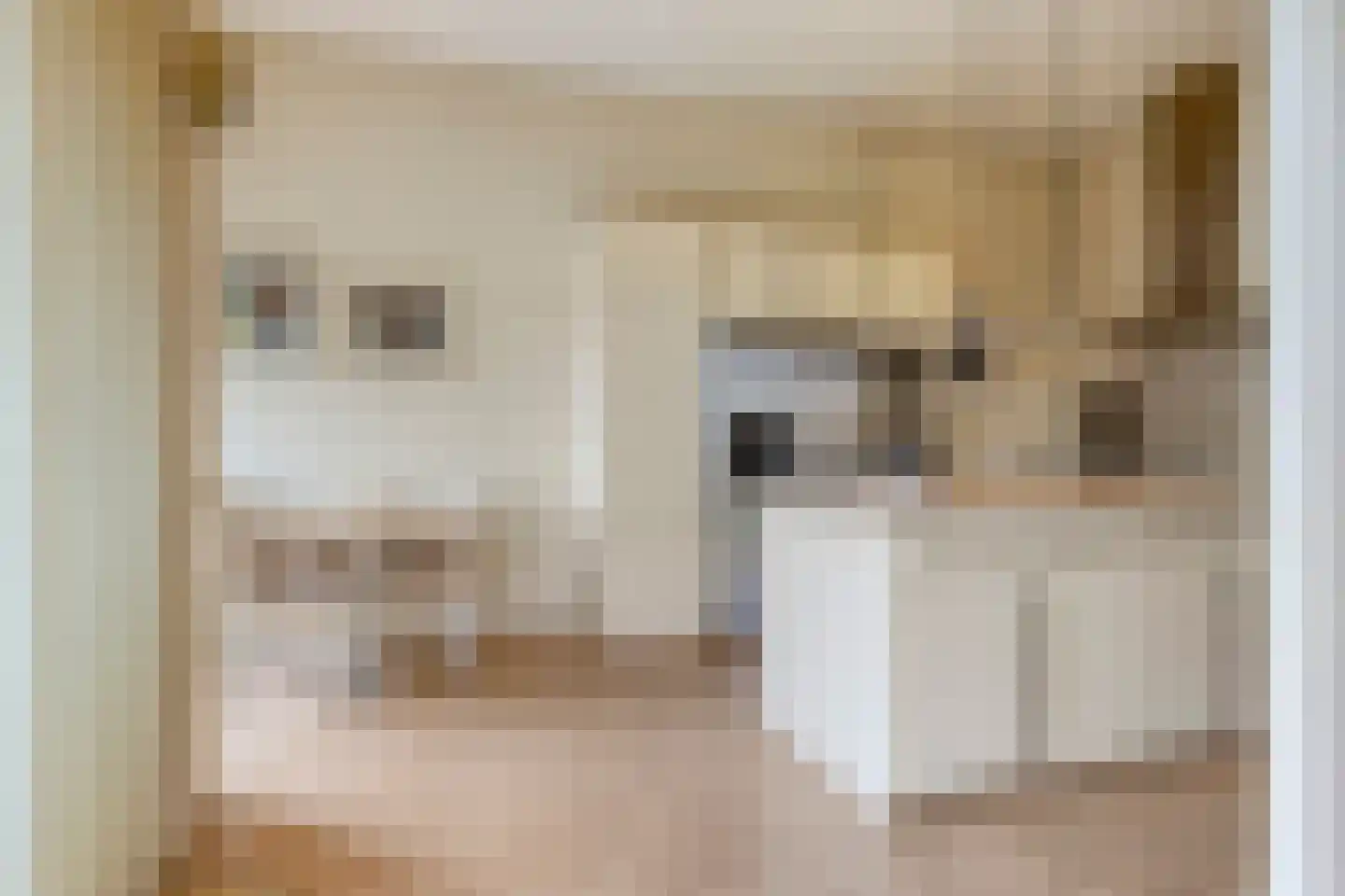 Hoogstraat 28 Valkenswaard thumbnail 6