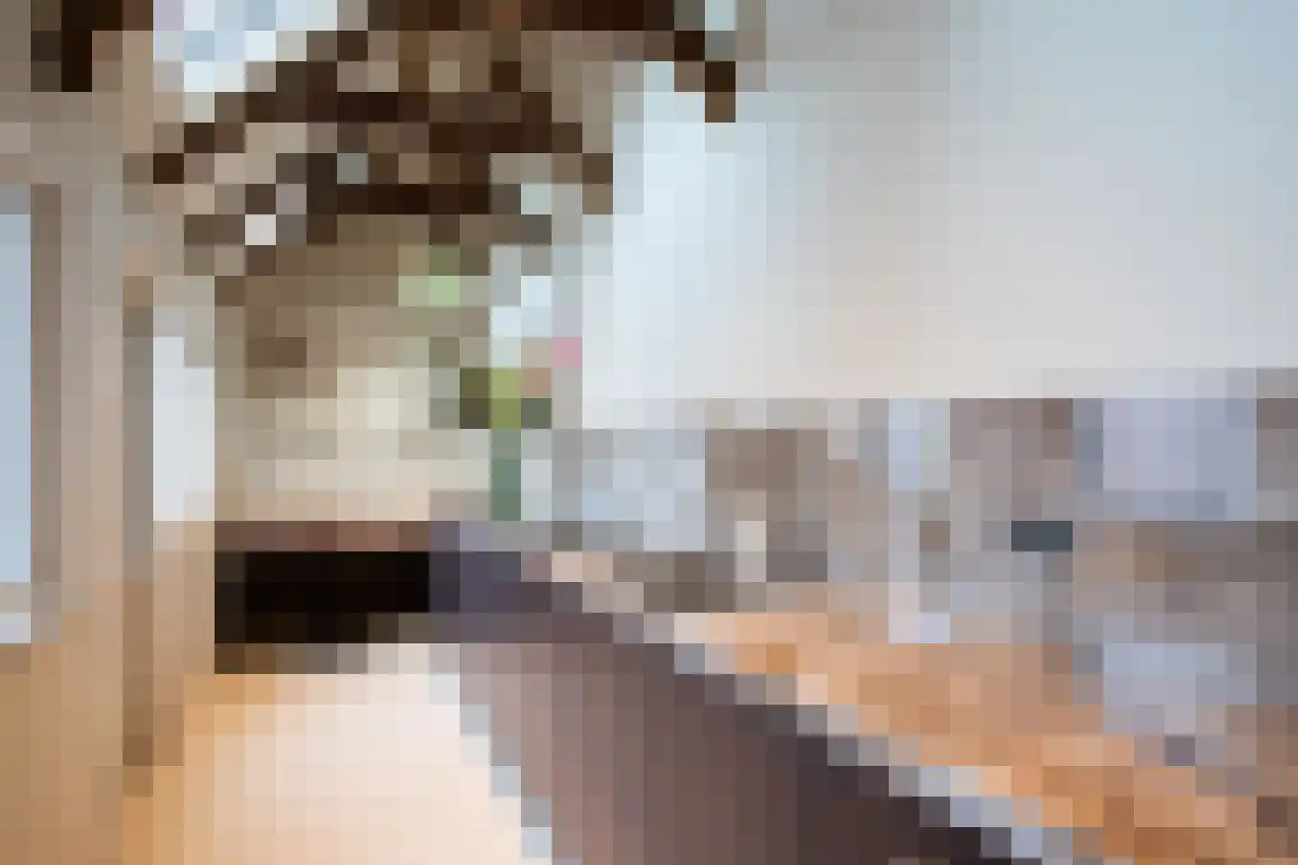 Hoogstraat 292 Eindhoven thumbnail 16