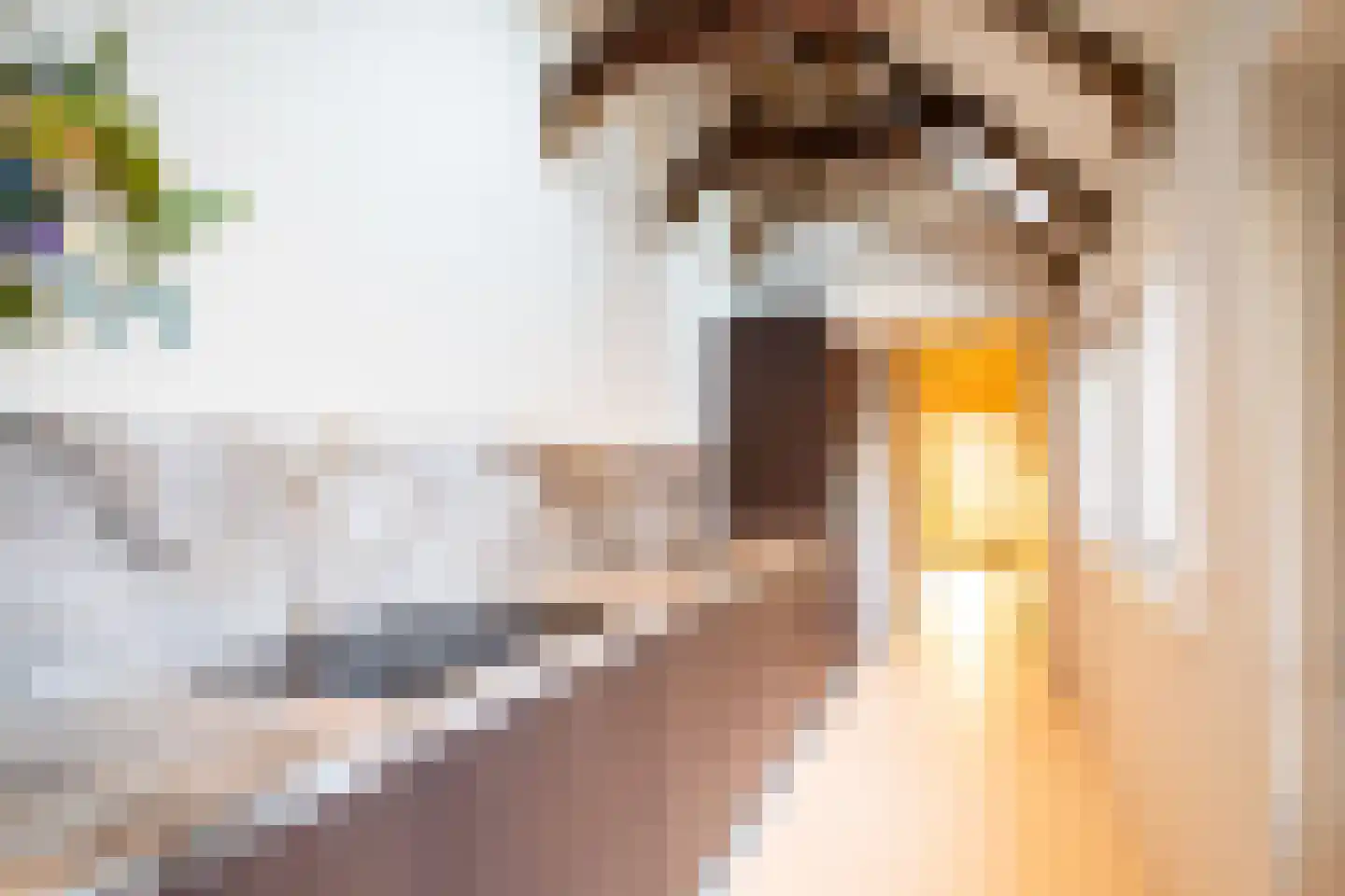Hoogstraat 292 Eindhoven thumbnail 17