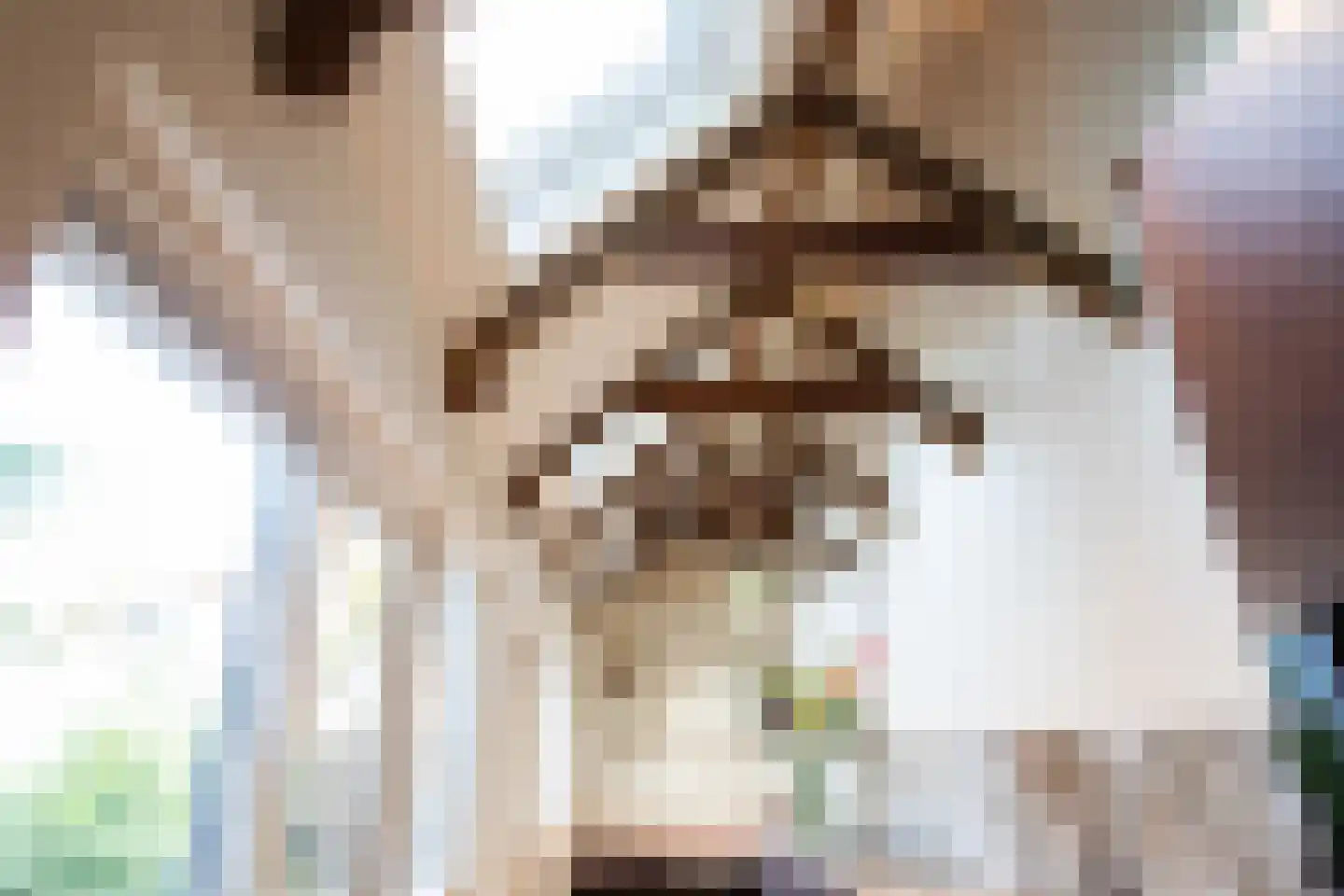 Hoogstraat 292 Eindhoven thumbnail 21