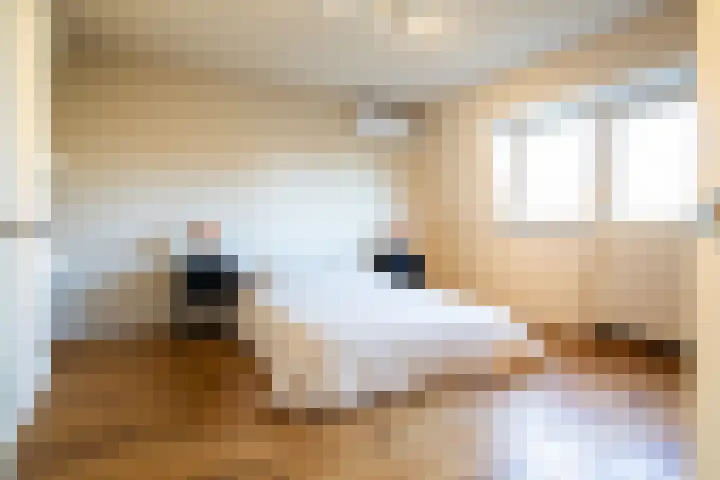 Hoogstraat 292 Eindhoven thumbnail 33