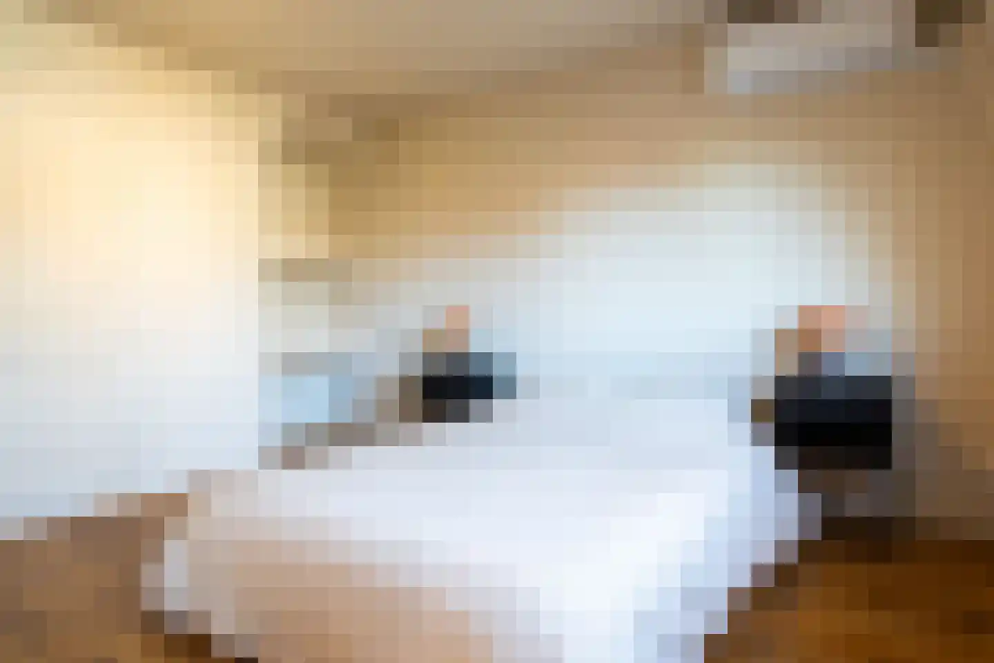 Hoogstraat 292 Eindhoven thumbnail 34