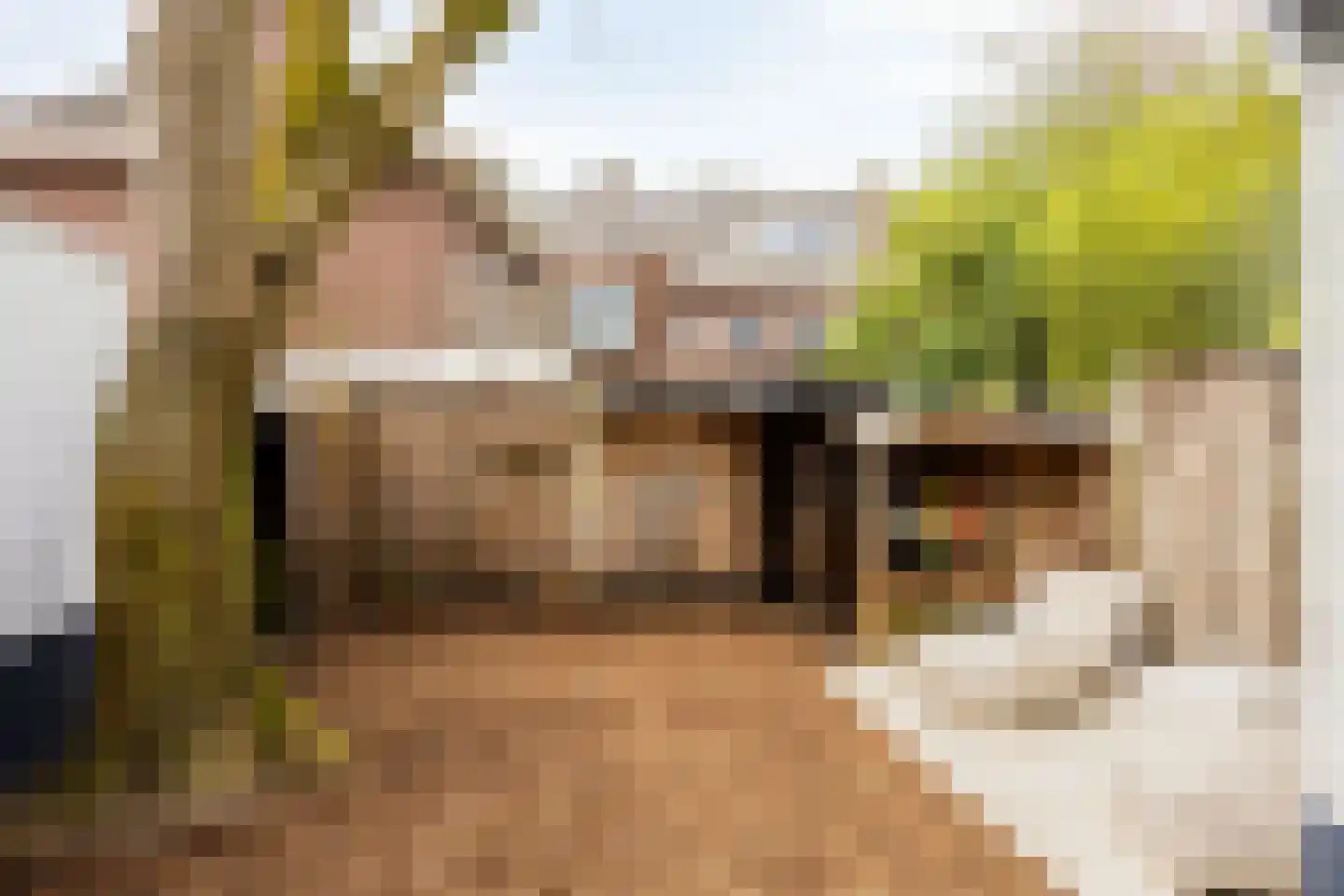 Hoogstraat 292 Eindhoven thumbnail 46
