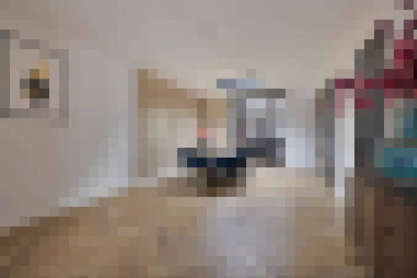 Hoogstraat 295 Eindhoven thumbnail 12
