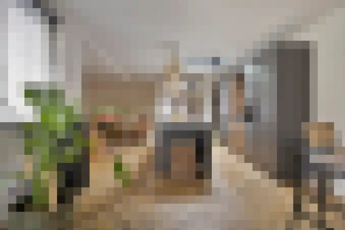Hoogstraat 295 Eindhoven thumbnail 16