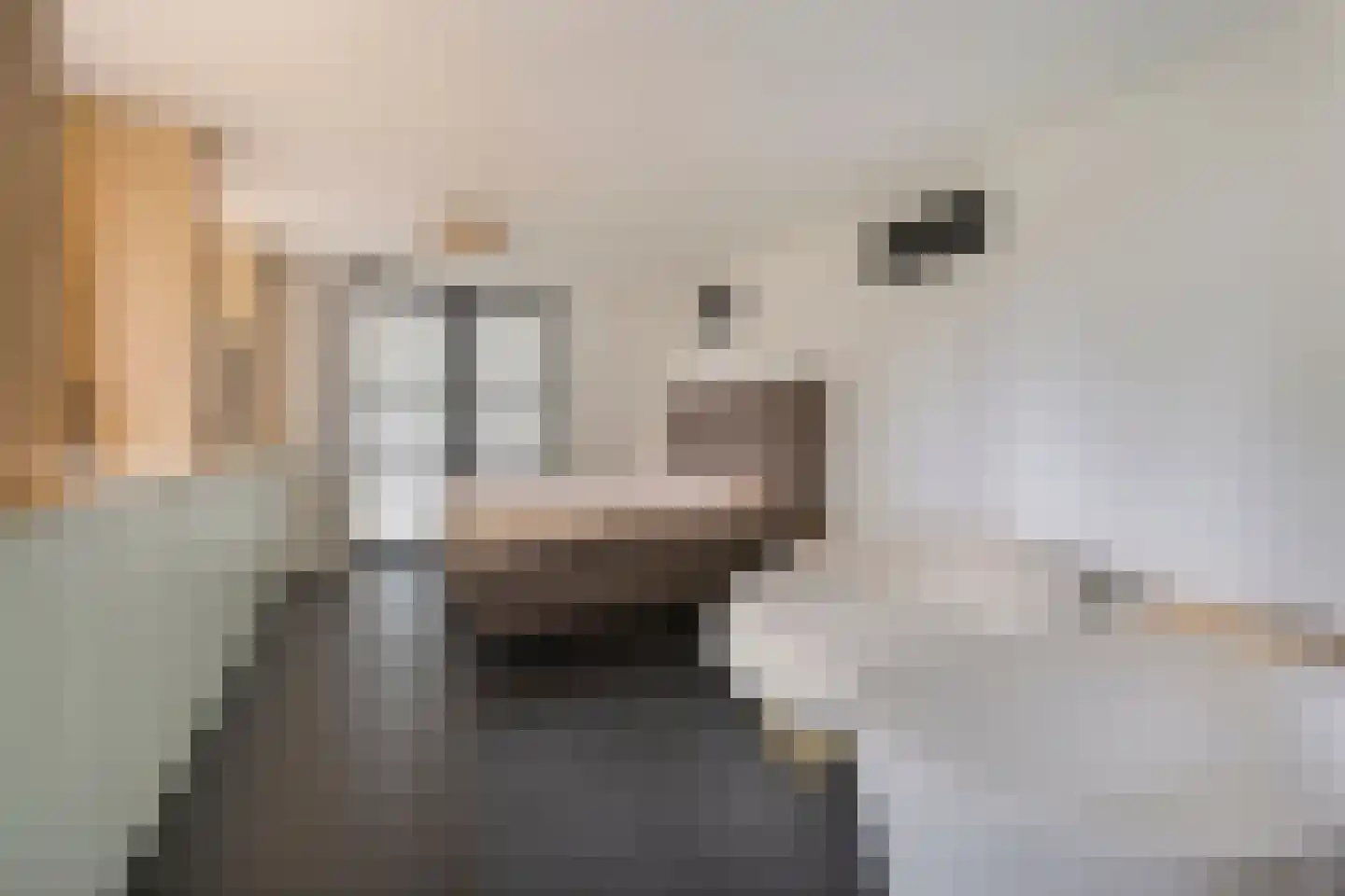 Hoogstraat 295 Eindhoven thumbnail 25