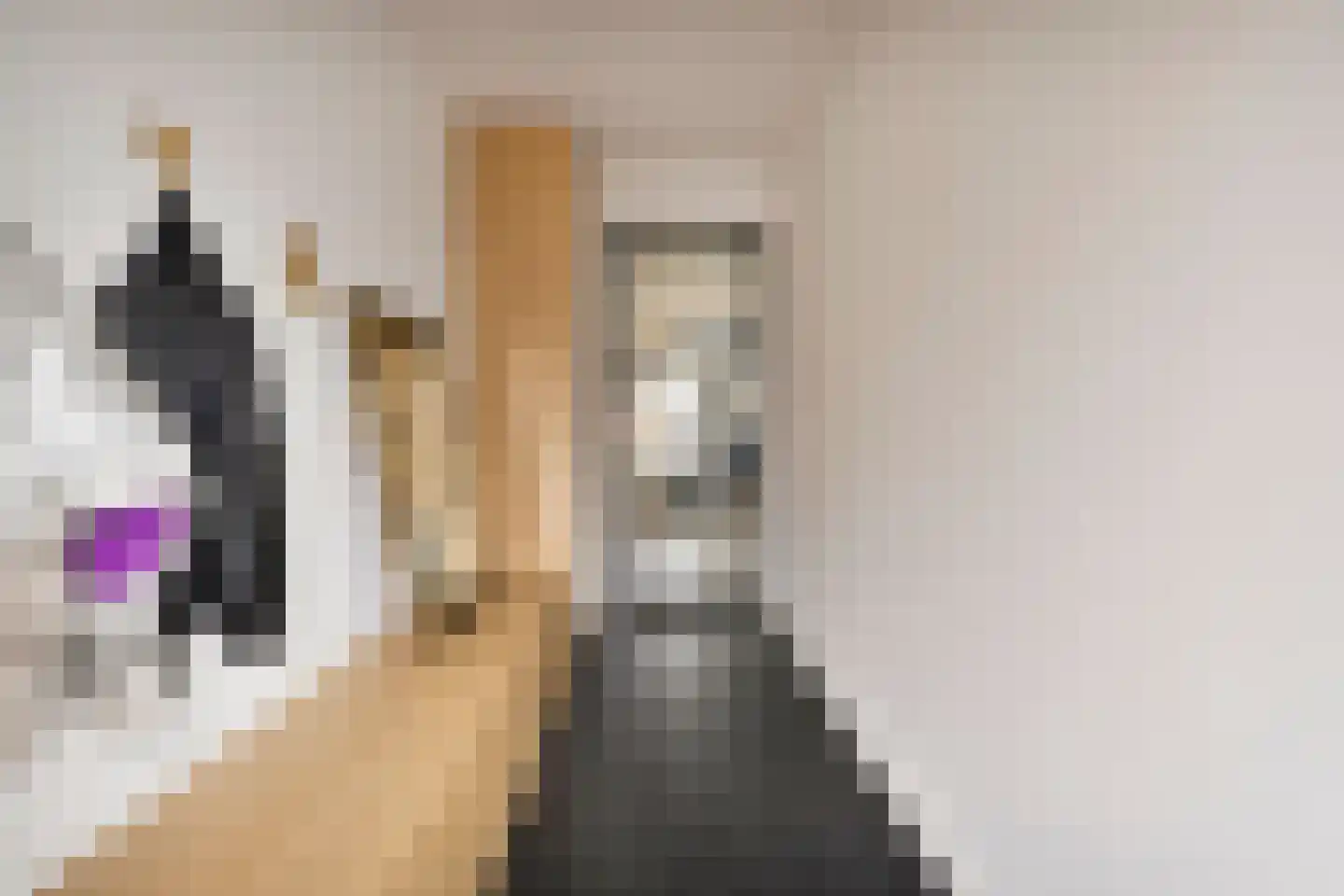 Hoogstraat 295 Eindhoven thumbnail 7