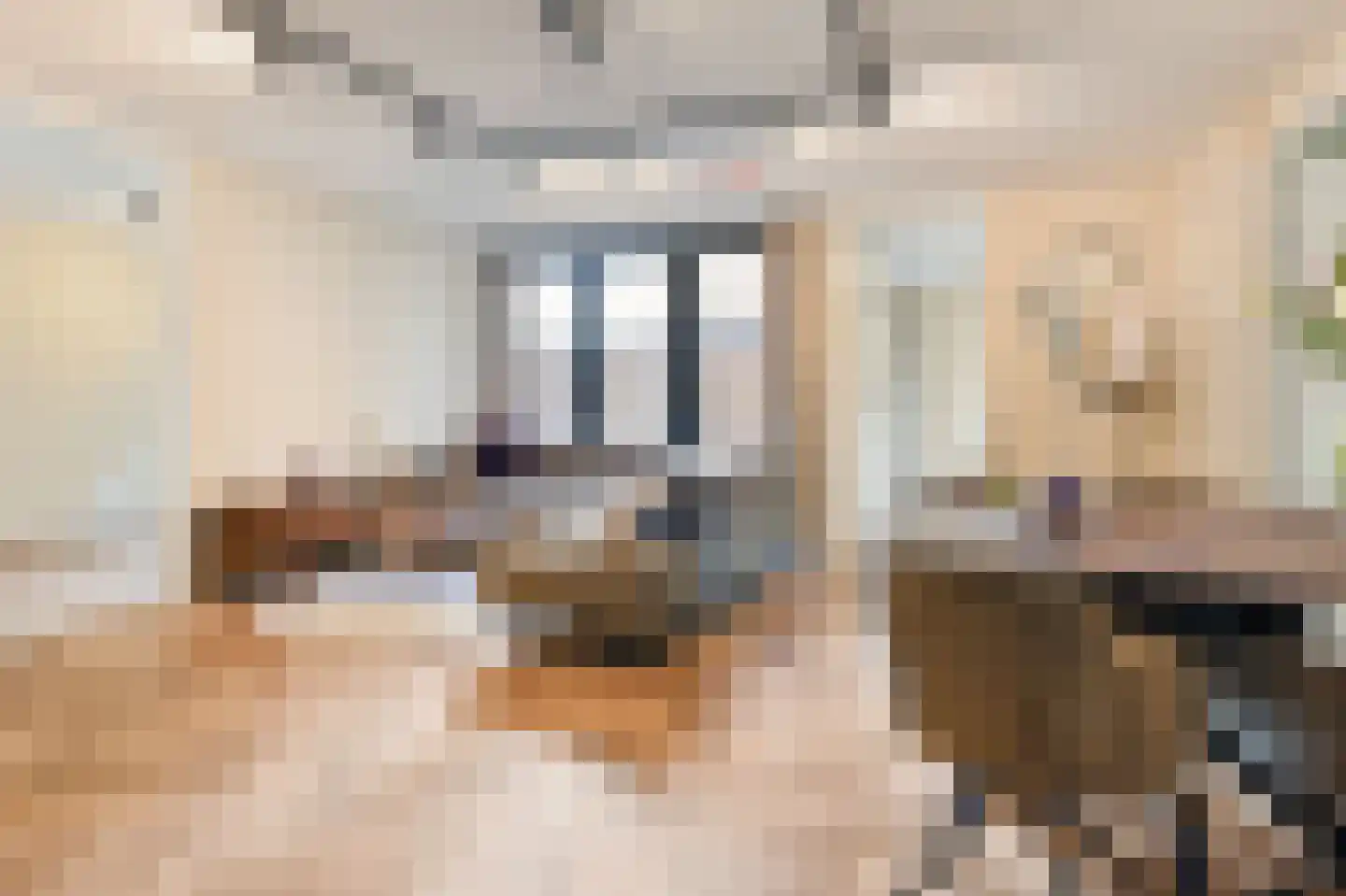 Hoogstraat 3 E Den Haag thumbnail 15