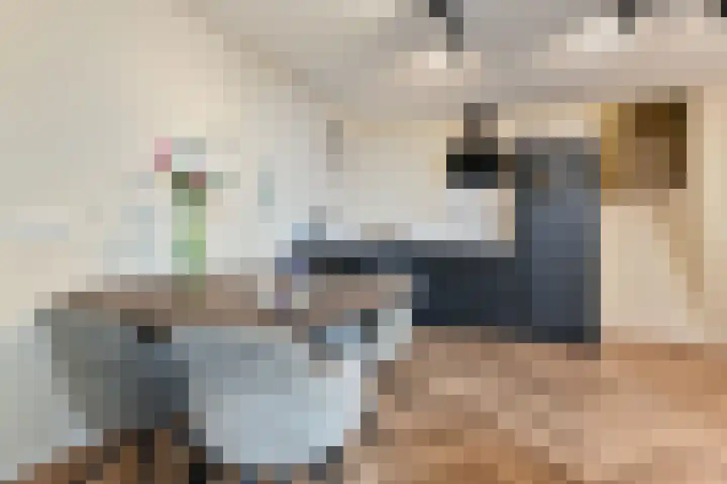 Hoogstraat 3 E Den Haag thumbnail 18