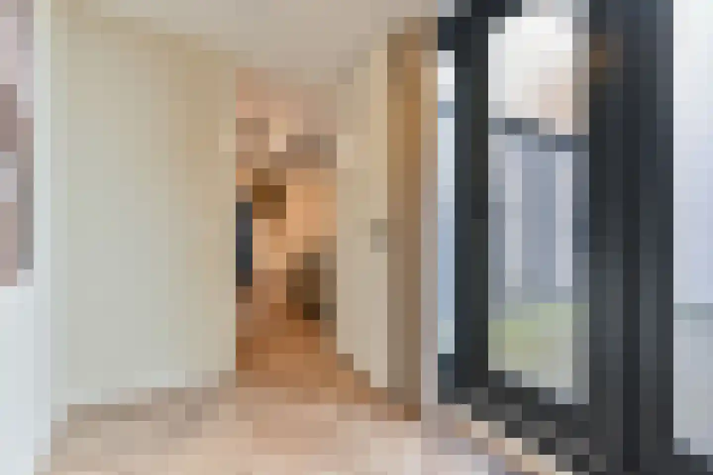 Hoogstraat 3 E Den Haag thumbnail 25