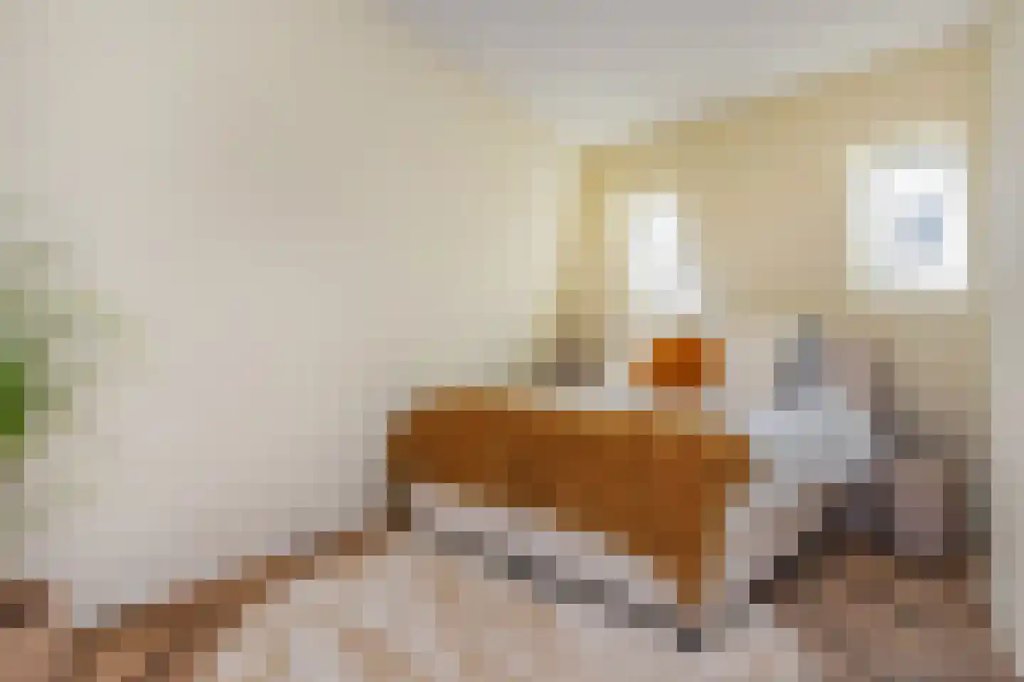Hoogstraat 3 F Den Haag thumbnail 15