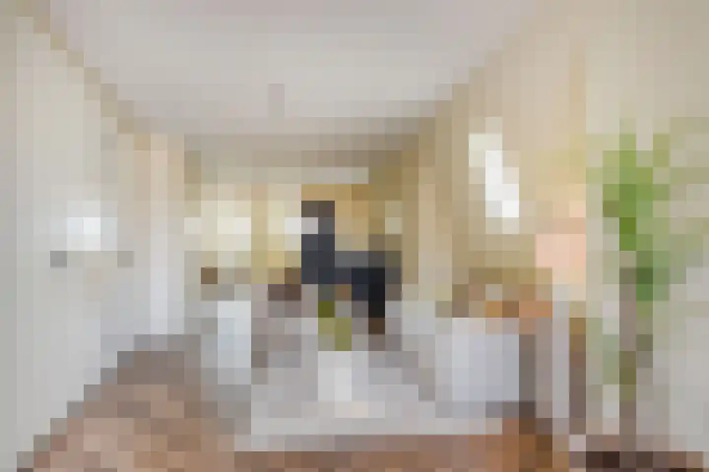 Hoogstraat 3 F Den Haag thumbnail 23