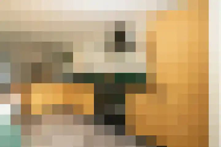 Hoogstraat 3 Noordwijkerhout thumbnail 12