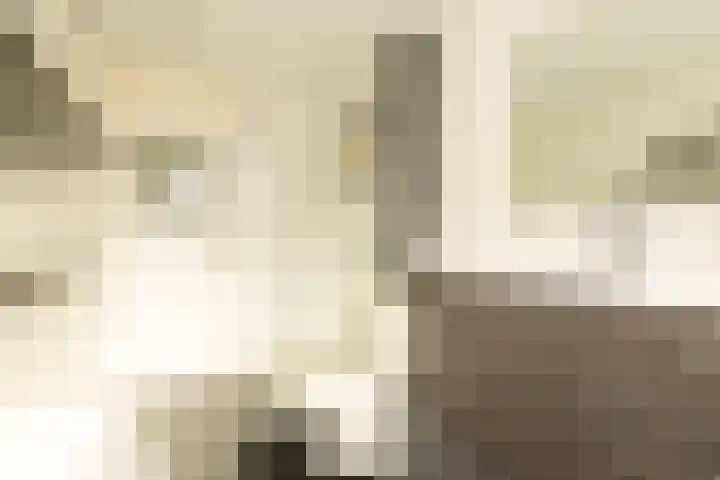 Hoogstraat 3 Noordwijkerhout thumbnail 25
