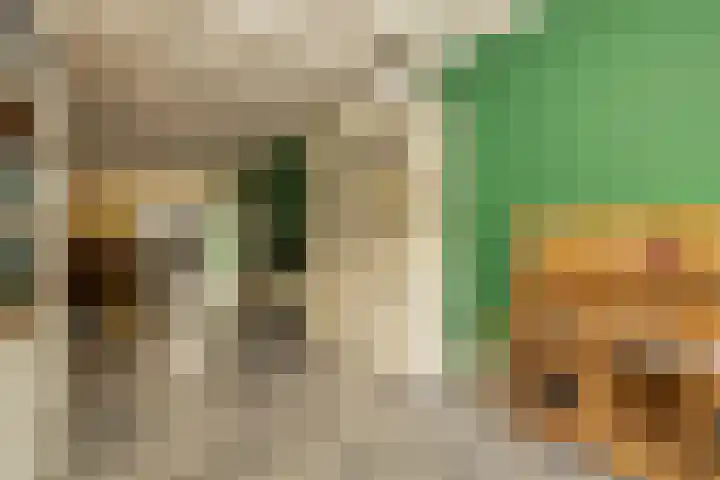 Hoogstraat 3 Noordwijkerhout thumbnail 4