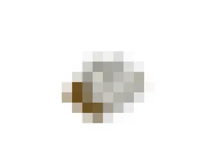 Hoogstraat 3 Oisterwijk thumbnail 20