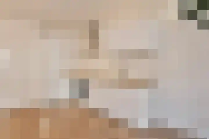 Hoogstraat 3 Oisterwijk thumbnail 6