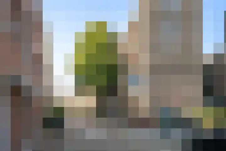 Hoogstraat 30 E Vlaardingen thumbnail 21