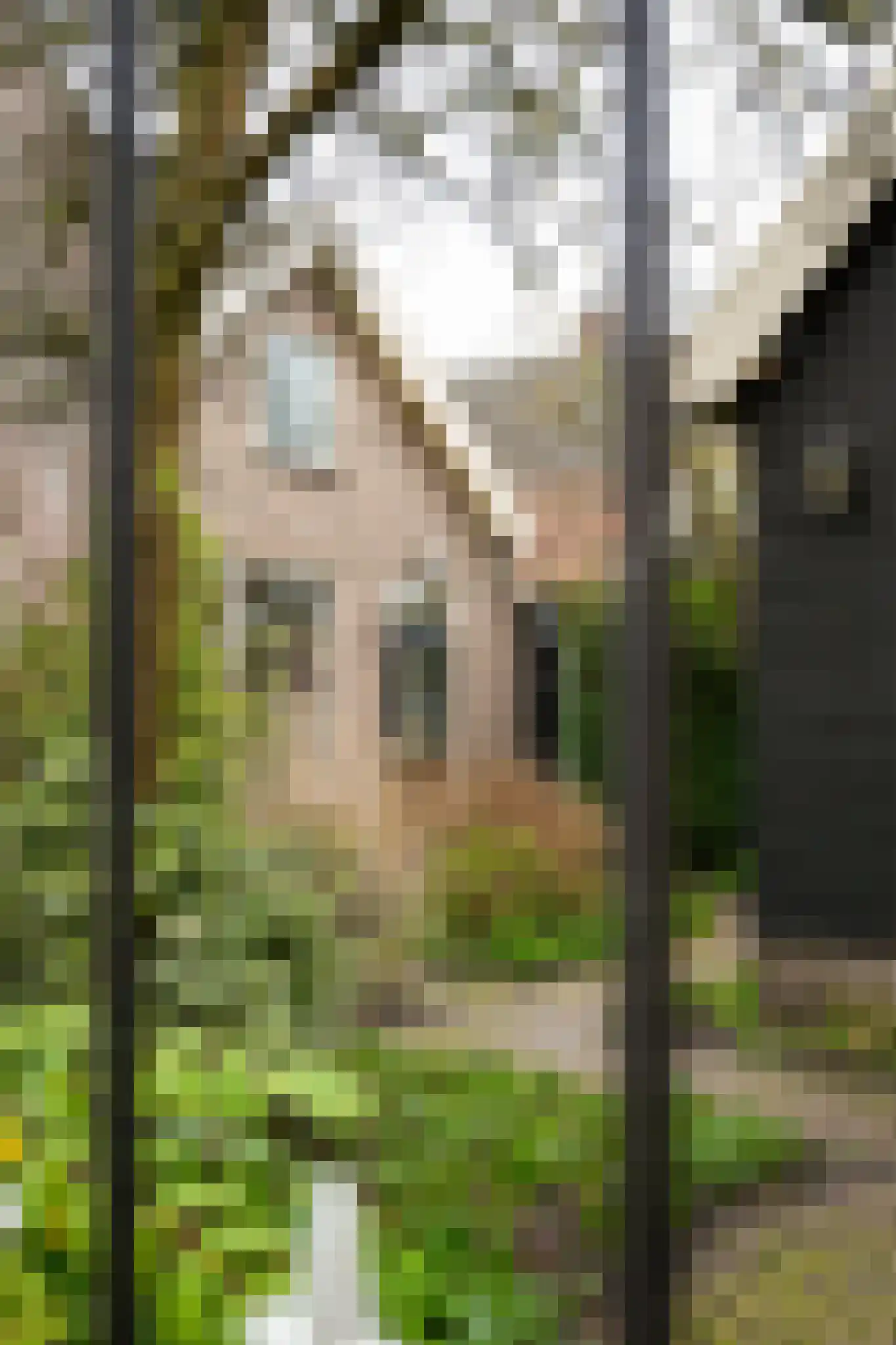 Hoogstraat 30 Nieuwpoort thumbnail 42