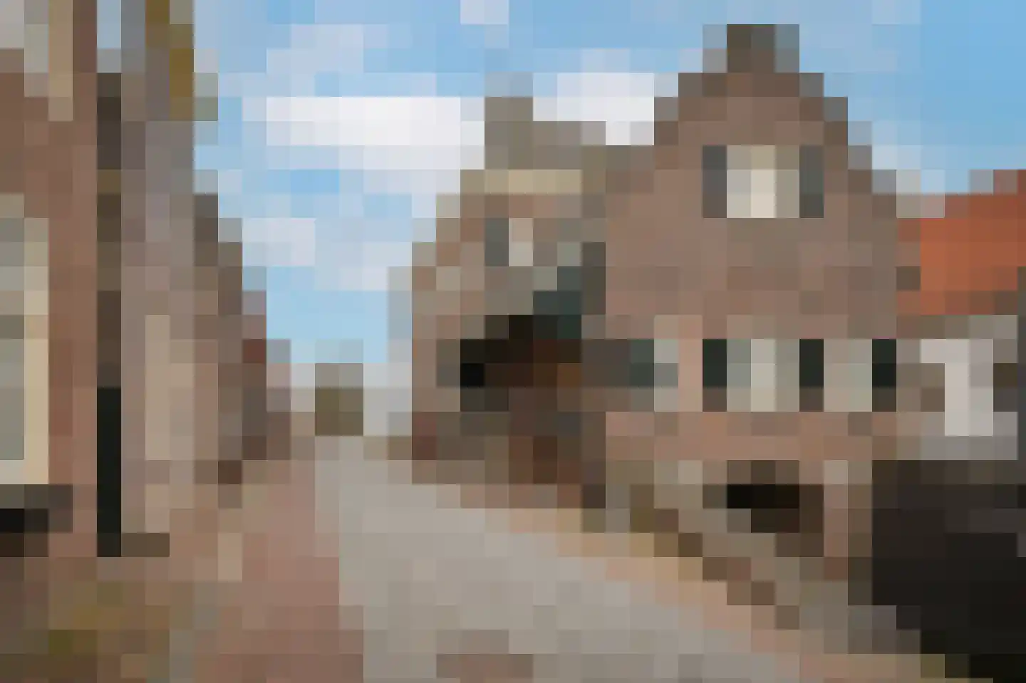 Hoogstraat 30 Nieuwpoort thumbnail 55