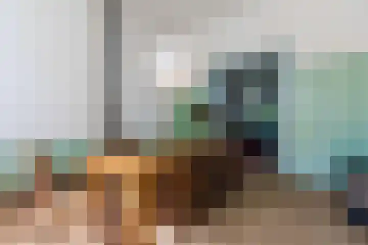 Hoogstraat 300 Eindhoven thumbnail 11