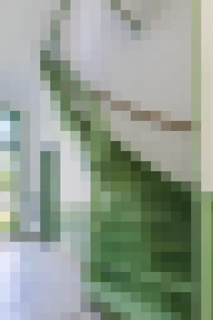 Hoogstraat 300 Eindhoven thumbnail 19