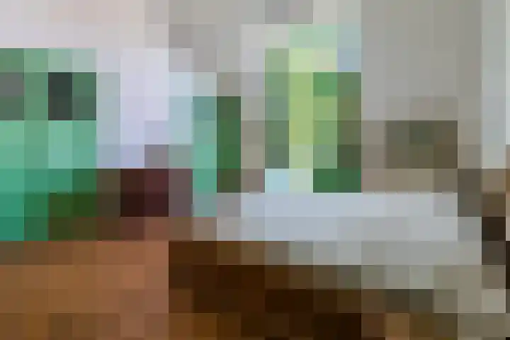 Hoogstraat 300 Eindhoven thumbnail 21