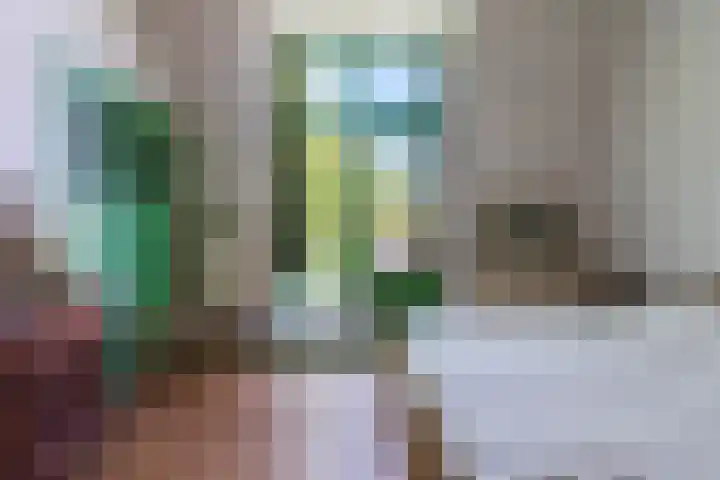 Hoogstraat 300 Eindhoven thumbnail 23