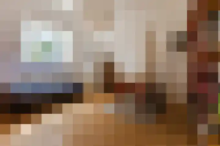 Hoogstraat 300 Eindhoven thumbnail 27
