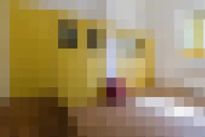 Hoogstraat 300 Eindhoven thumbnail 30
