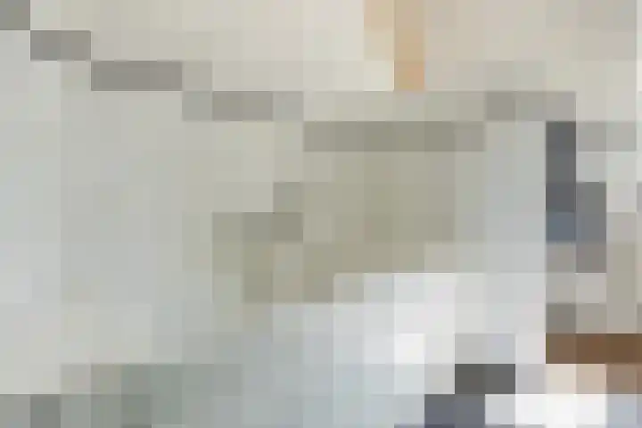 Hoogstraat 300 Eindhoven thumbnail 33