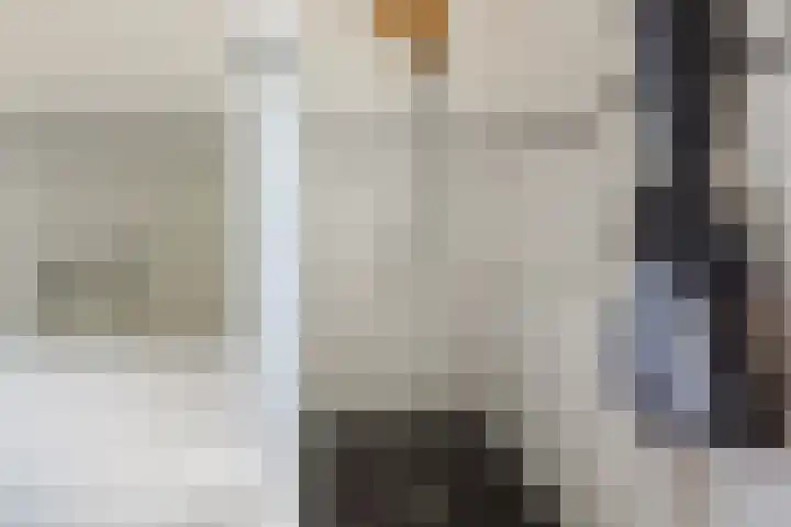 Hoogstraat 300 Eindhoven thumbnail 35