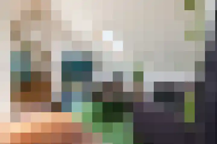 Hoogstraat 300 Eindhoven thumbnail 45