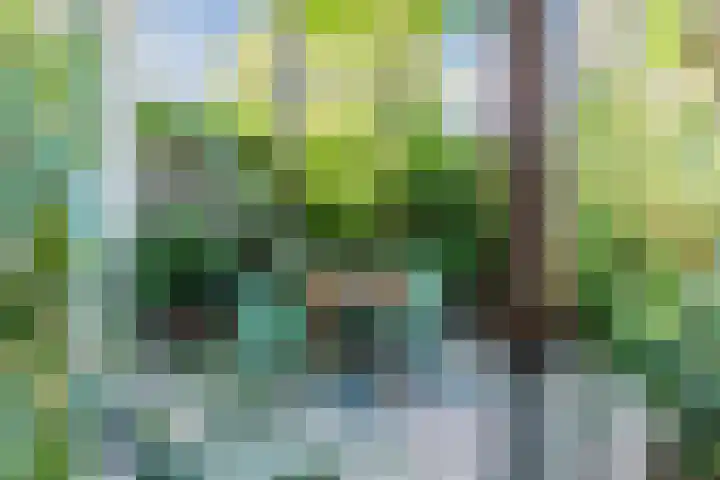 Hoogstraat 300 Eindhoven thumbnail 48