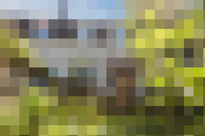 Hoogstraat 300 Eindhoven thumbnail 50